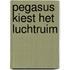Pegasus kiest het luchtruim