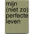 Mijn niet zo perfecte leven