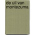 De uil van Montezuma