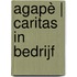 Agapè | Caritas in bedrijf