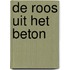 De roos uit het beton