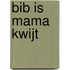 Bib is mama kwijt