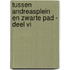 Tussen Andreasplein en Zwarte Pad - deel VI
