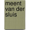 Meent van der Sluis by Lukas Koops