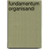 Fundamentum Organisandi