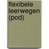 Flexibele leerwegen by Naomi Van den Branden