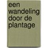 Een wandeling door de Plantage
