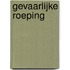 Gevaarlijke roeping