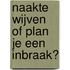 Naakte wijven of plan je een inbraak?