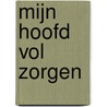 Mijn hoofd vol zorgen door Steven Gielis
