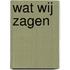 Wat wij zagen