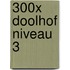 300X DOOLHOF NIVEAU 3