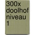 300X DOOLHOF NIVEAU 1