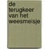 De terugkeer van het weesmeisje