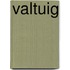 Valtuig