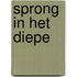 Sprong in het diepe