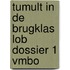Tumult in de brugklas LOB dossier 1 vmbo