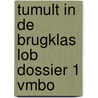 Tumult in de brugklas LOB dossier 1 vmbo door Sanne van Esveld