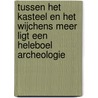 Tussen het Kasteel en het Wijchens Meer ligt een heleboel archeologie door K.A. Hebinck