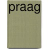 Praag door Elke Parsa