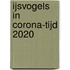 IJsvogels in Corona-tijd 2020