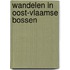 Wandelen in Oost-Vlaamse Bossen