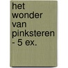 Het wonder van Pinksteren - 5 ex. door Michel de Boer