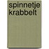 Spinnetje krabbelt