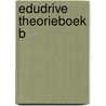 EDUDRIVE Theorieboek B door Juul Klarenbeek