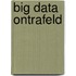 Big data ontrafeld