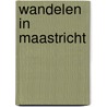 Wandelen in Maastricht by Leo Platvoet
