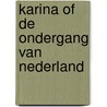 Karina of de ondergang van Nederland door Wouter Godijn