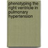 Phenotyping the right ventricle in Pulmonary Hypertension