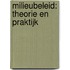 Milieubeleid: theorie en praktijk