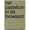 Het castellum in de Loowaard door Wil Kuijpers