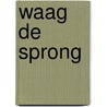 Waag de sprong door Bart van den Belt