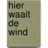 Hier waait de wind