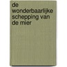 De wonderbaarlijke schepping van de mier door Nurcan Gul Tanrioven