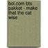 BOL.COM BTS pakket - Make That The Cat Wise