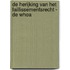 De herijking van het faillissementsrecht - De WHOA