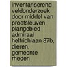 Inventariserend Veldonderzoek door middel van proefsleuven Plangebied Admiraal Helfrichlaan 87b, Dieren, Gemeente Rheden by G.H. M. Beberink