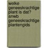 Welke geneeskrachtige plant is dat? ANWB geneeskrachtige plantengids