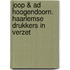 Joop & Ad Hoogendoorn. Haarlemse drukkers in verzet