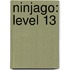 Ninjago: Level 13