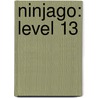 Ninjago: Level 13 door Onbekend