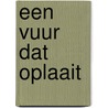 Een vuur dat oplaait by Edward Janssens, pr.