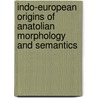 Indo-European Origins of Anatolian Morphology and Semantics door Stefan Norbruis