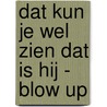 Dat kun je wel zien dat is hij - Blow up door Herman van Veen