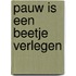 Pauw is een beetje verlegen