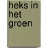 Heks in het groen